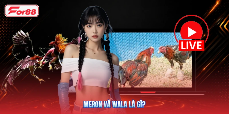 Meron và Wala là gì?